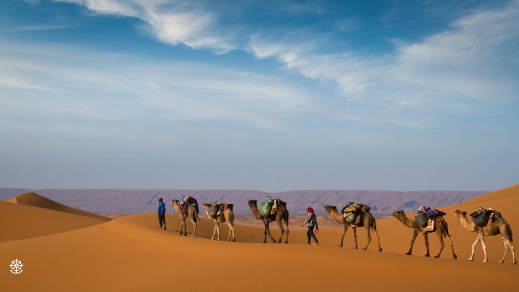 A camel train in Sahara Desert