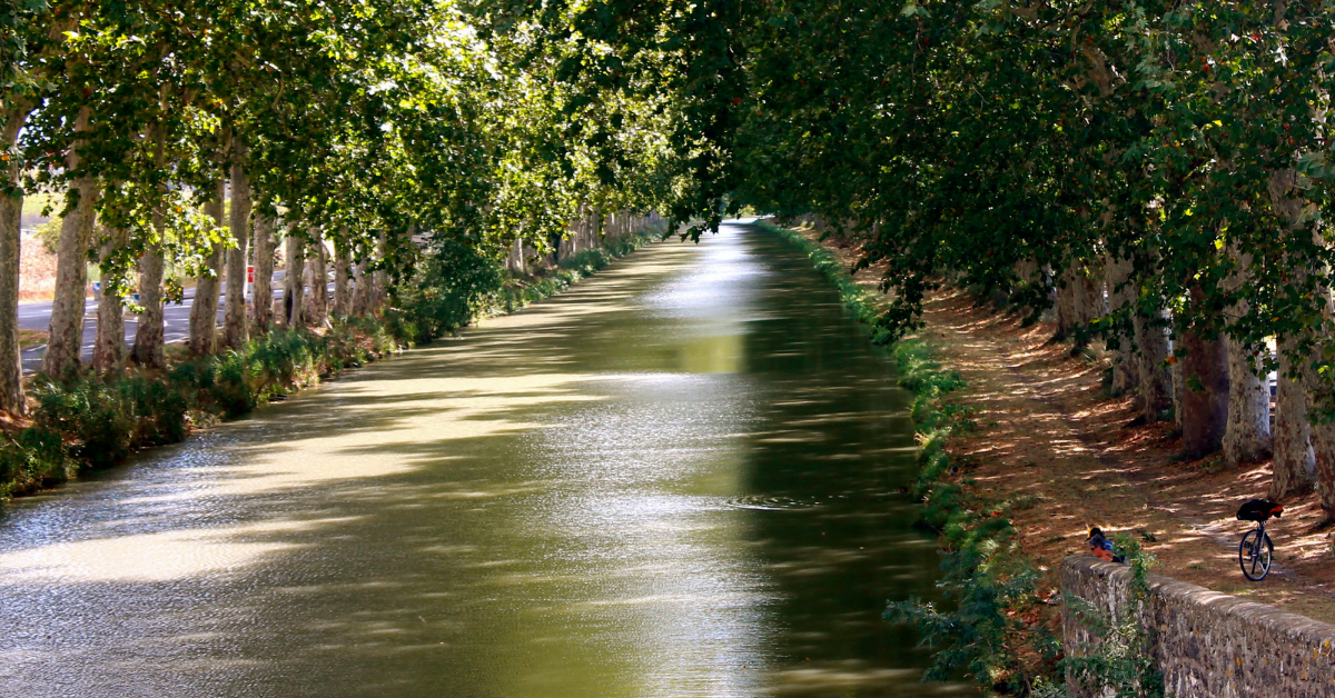 The Canal Du Midi in Southern France