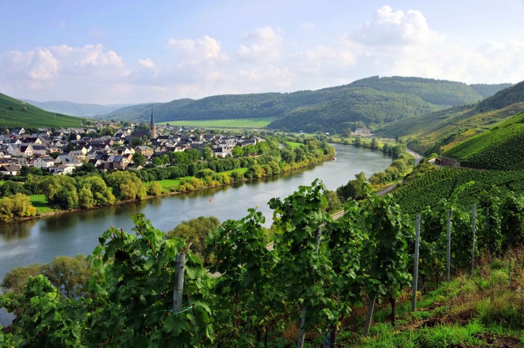 The Moselle River passing through the wine region of Zeltingen-Rachtig, Germany